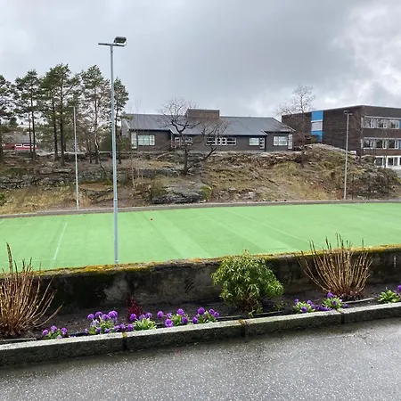 Views Large كريستينساند